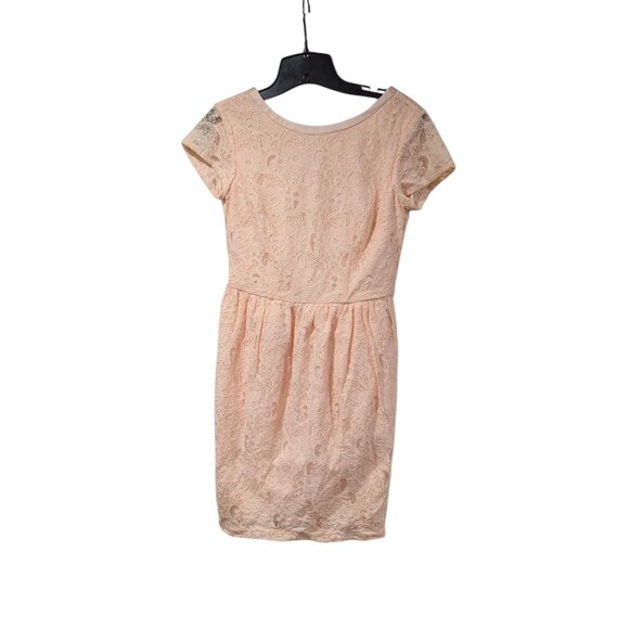 H&M Blush Pink Lace Capped Sleeve Wrap Over Zip Back Knee Length Dress Sz 4 - Picture 1 of 8